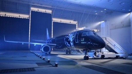 Почему нельзя красить самолеты в обычном ангаре?